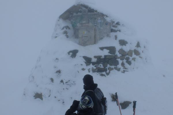 Photo of Clients looking at summit shelter